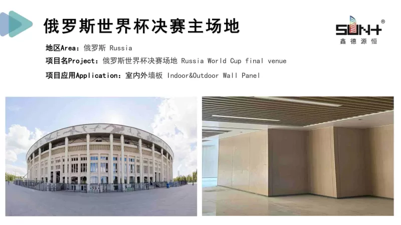 Russia World Cup Final Venue